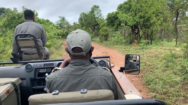 Game rangers driving