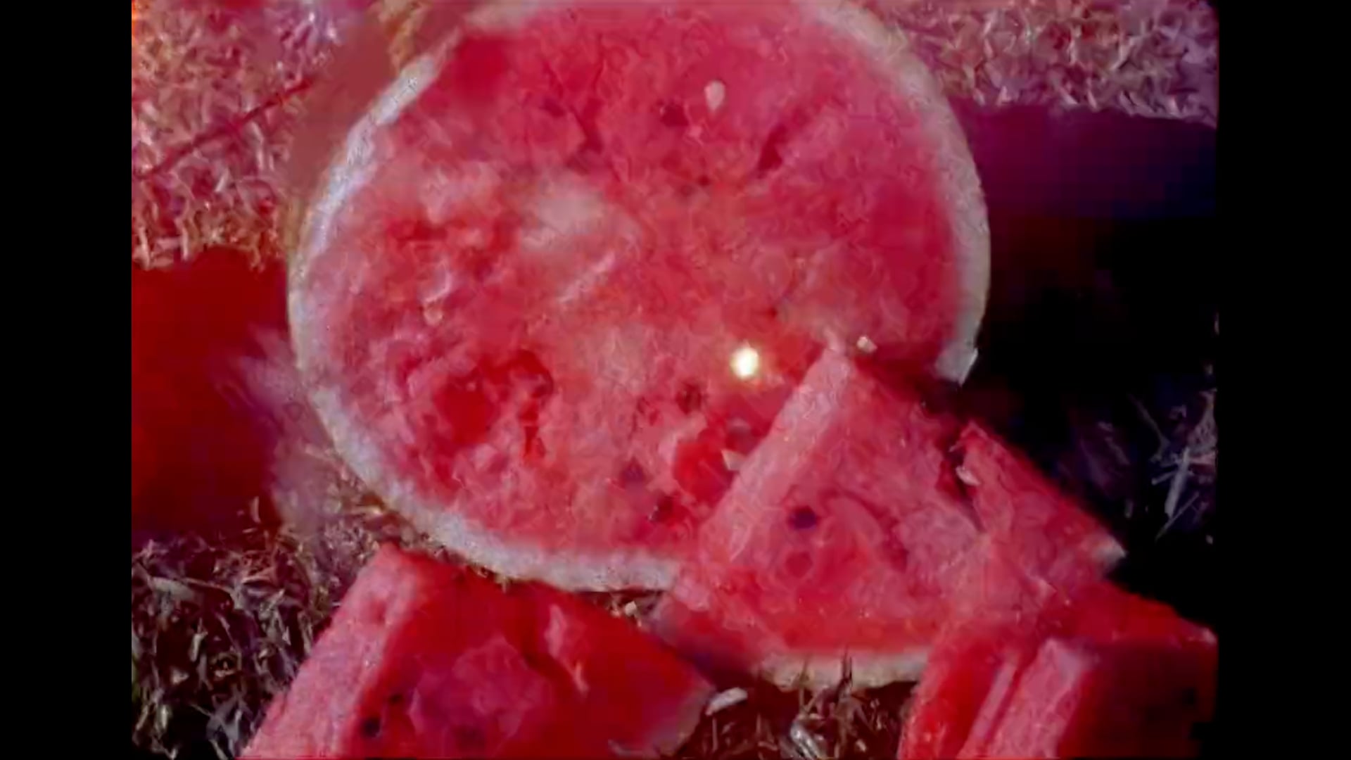 PIEDRA DE SOL del Colectivo Los Ingrávidos