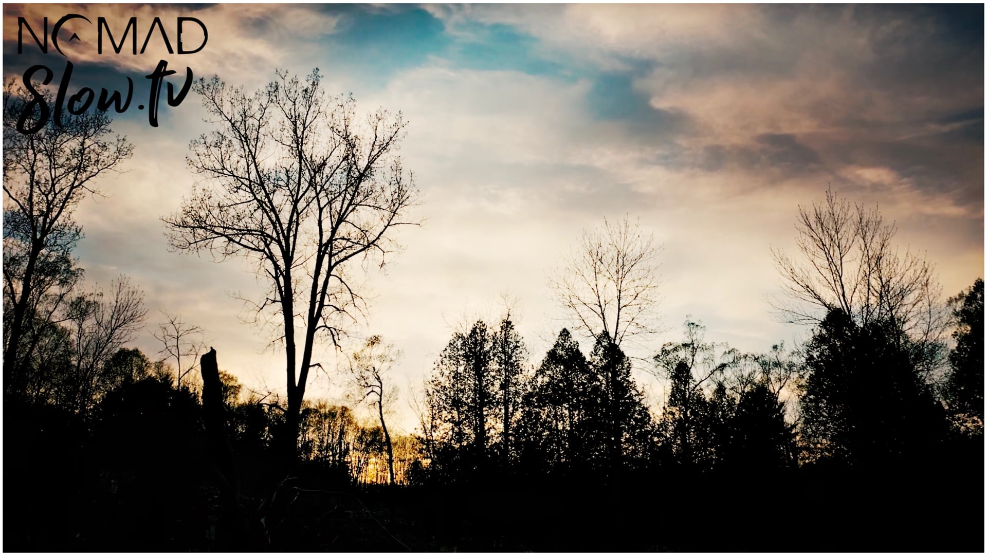 Spring Walk on the Tomifobia