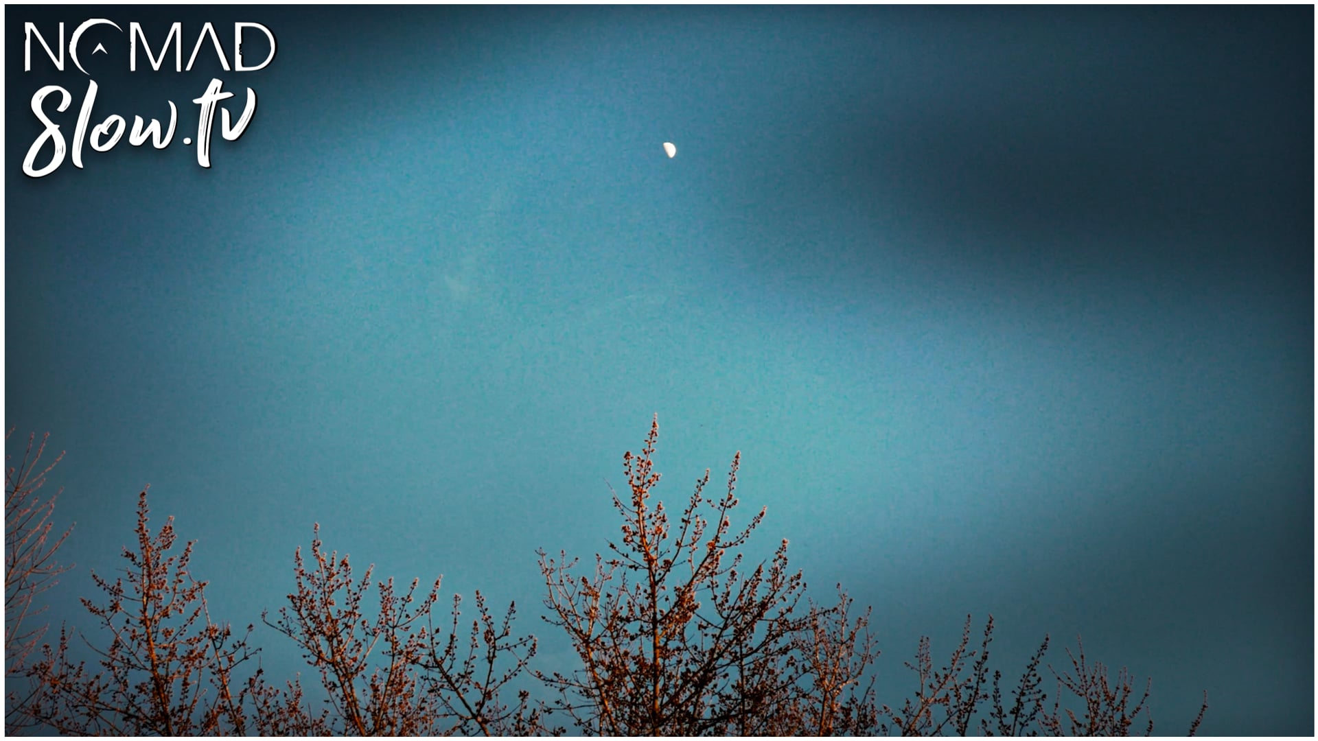 Spring Yard - Into Meditation