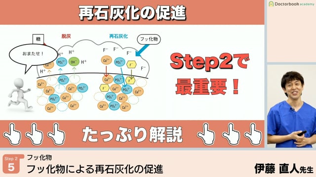 フッ化物による再石灰化の促進│Step2-5