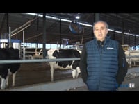 Apoyo del servicio técnico desde antes de la instalación del robot