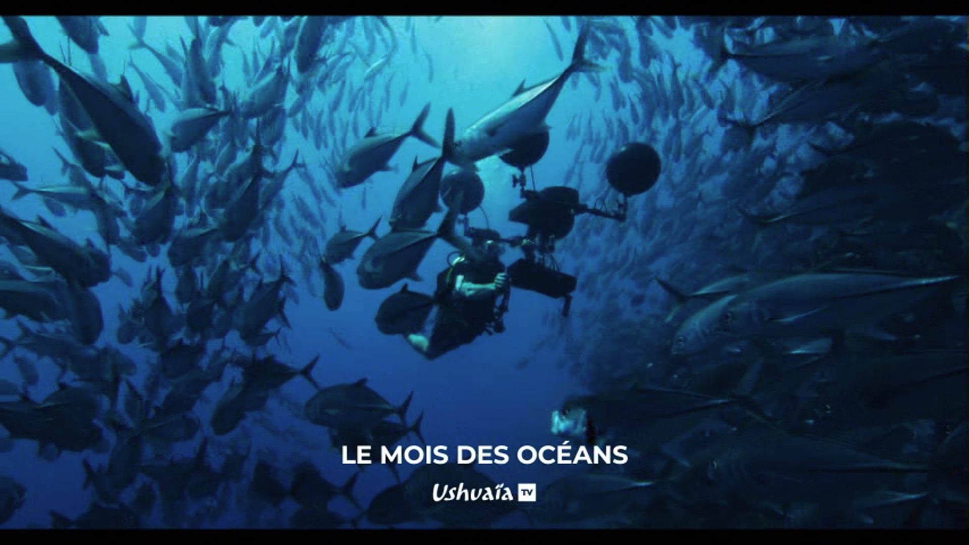 Bande annonce Ligue de la mer - Ushuaïa ce soir