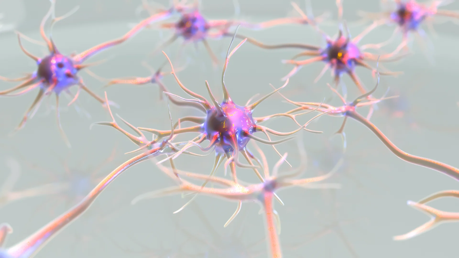 Opti-ox: Cell Reprogramming
