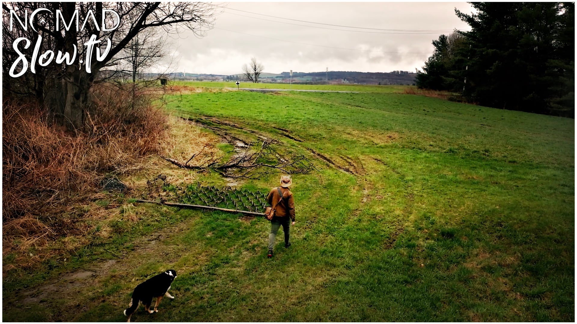 Rainy Spring Walk Around the Cemetery