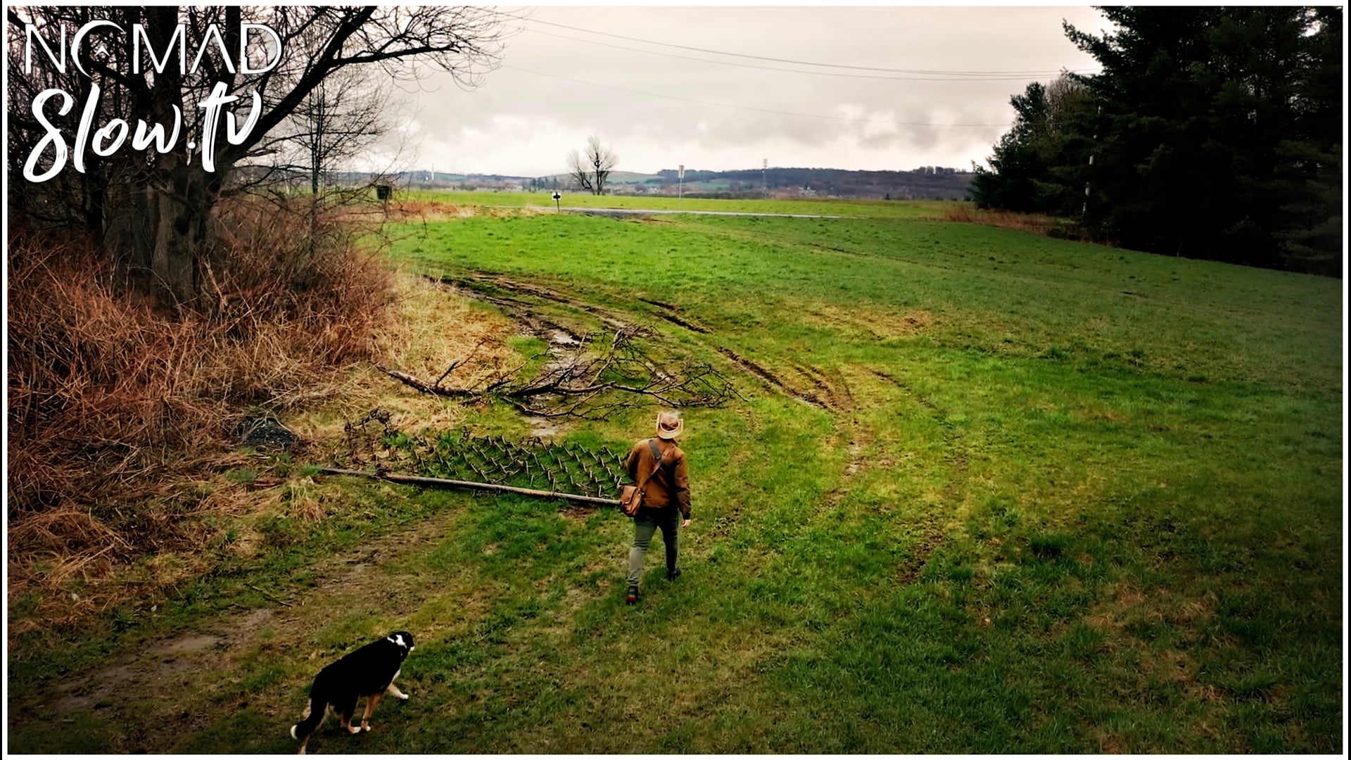 Rainy Spring Walk Around the Cemetery