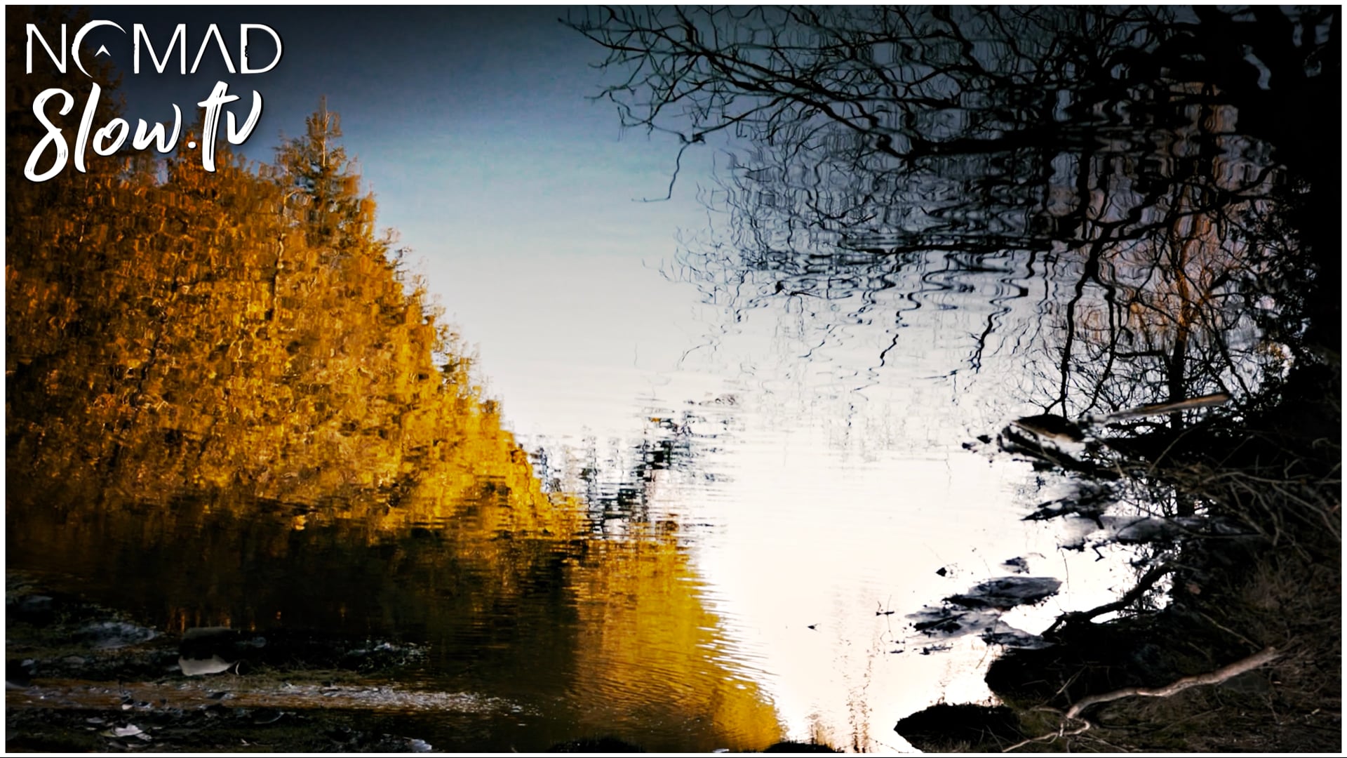 Spring Reflections