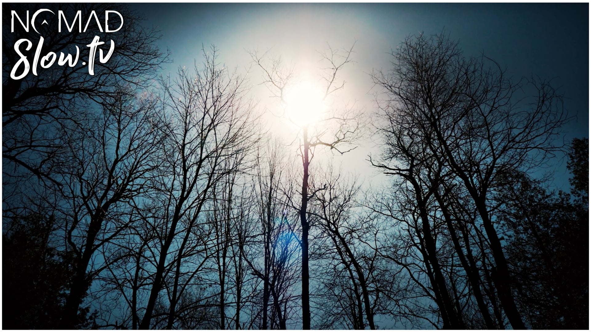 Stanstead Spring Walk to the River with the Dogs