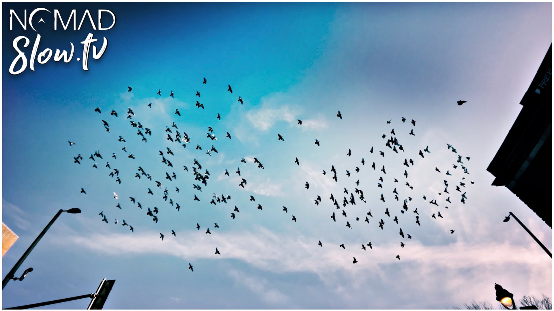 Leaving the Montreal Winter