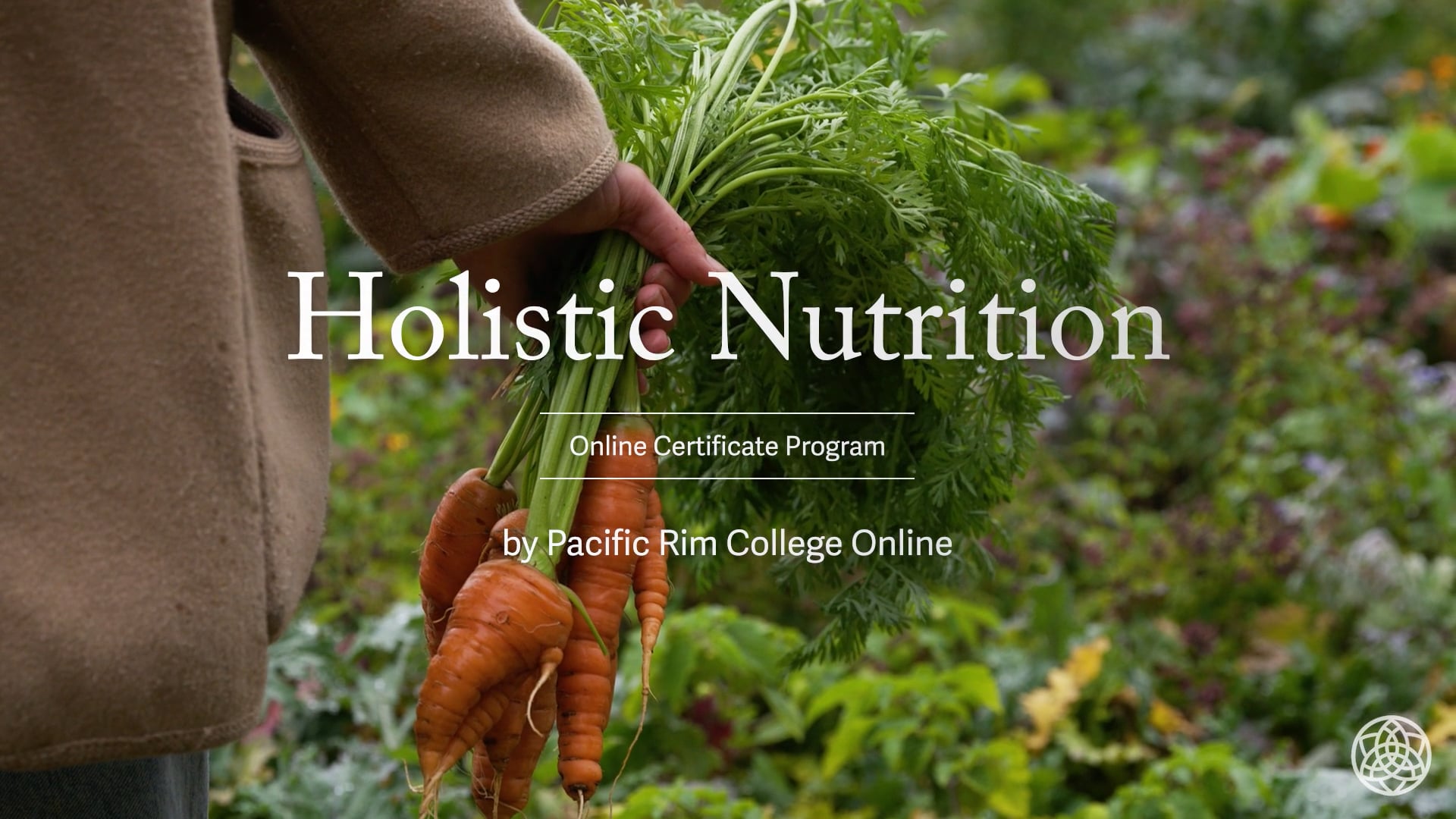 The Online Holistic Nutrition Certificate Program By Pacific Rim