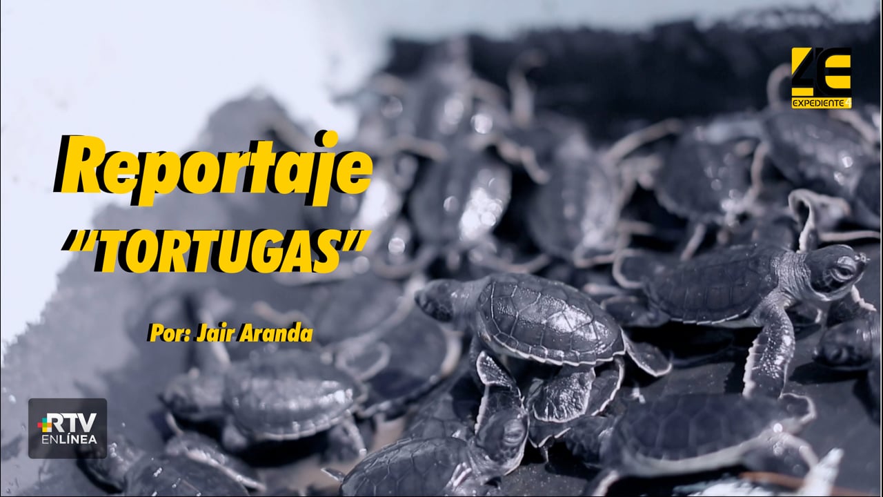 Tortugas