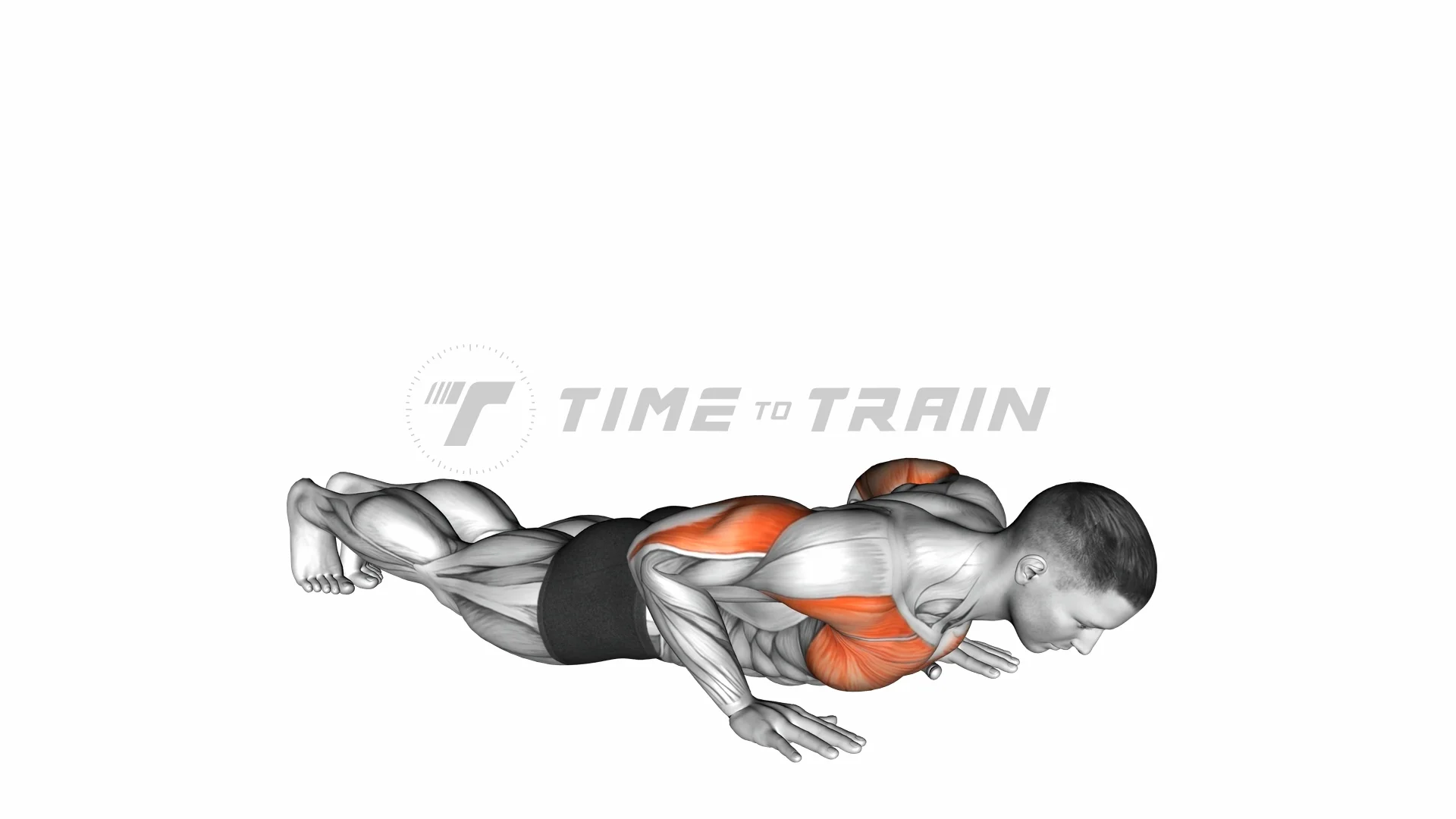 06721201-Reverse-Dip_Upper-Arms on Vimeo