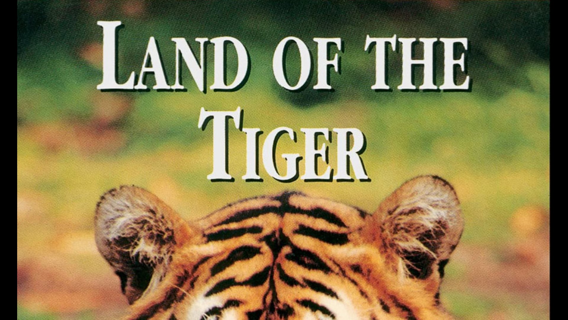 Land of the Tiger