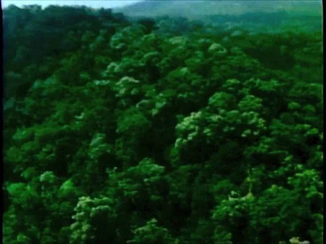 vimeo.com