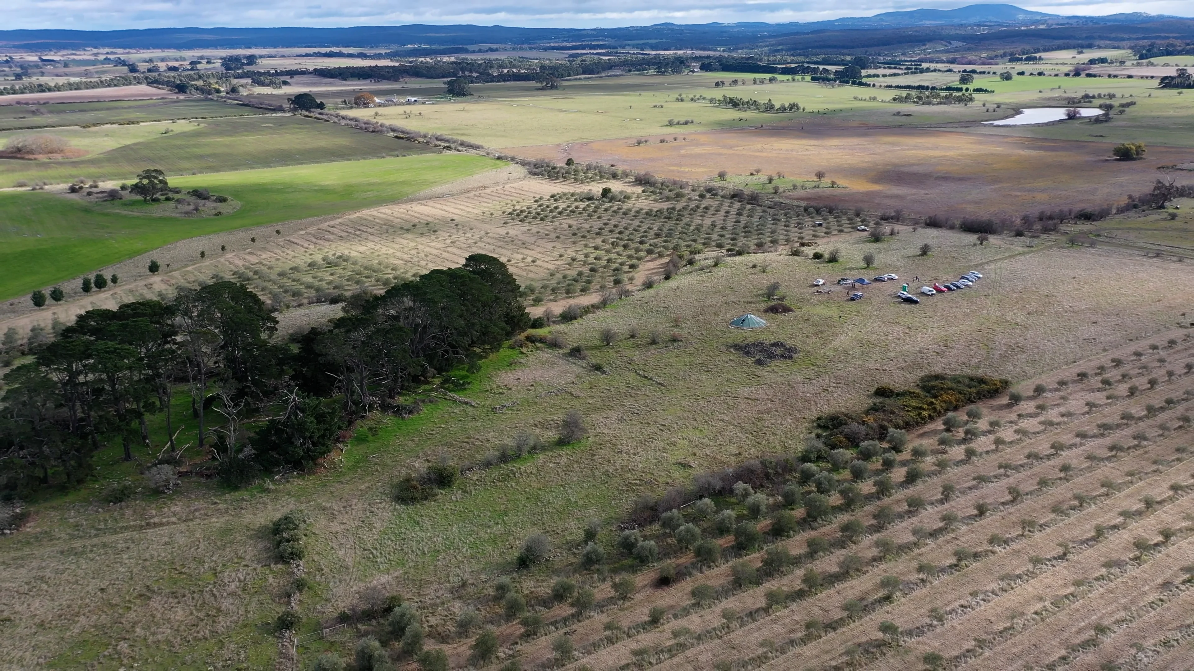 Greenhill Estate.mp4 on Vimeo