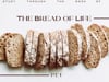 06.12.22 - The Bread of Life - Pastor Mike Wiggins