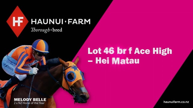 Lot 46