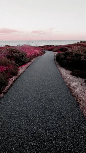 Tiktok, Aesthetic, Fantasy. Free Stock Video - Pixabay