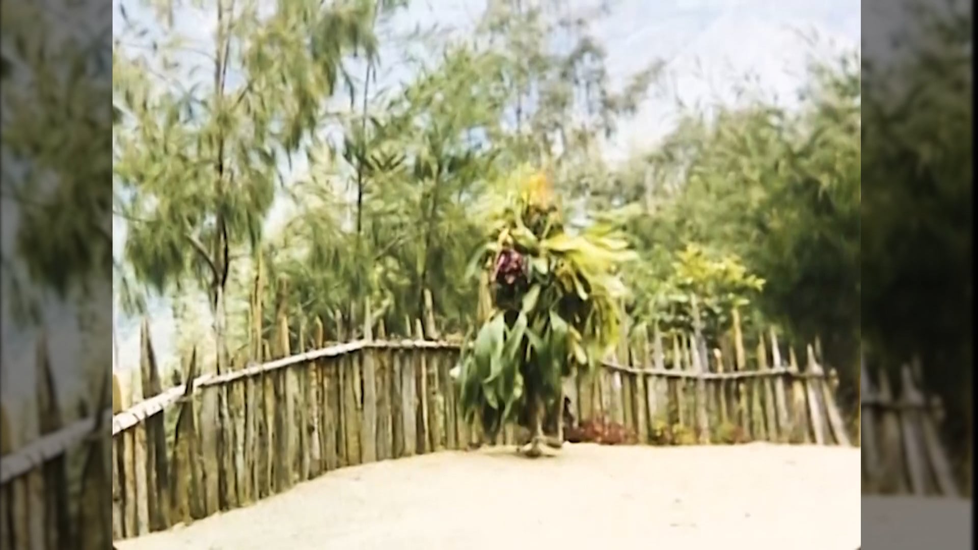 Episode 1: The Awakening