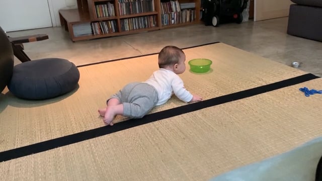 crawling and playing on the belly, 2020