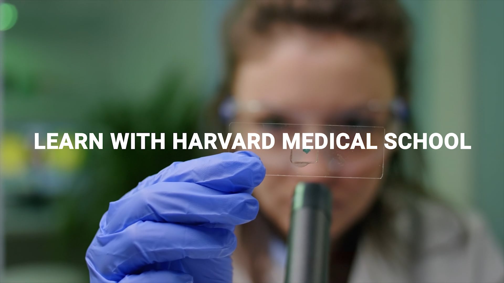 Harvard Medical School: Now is the Time to Learn