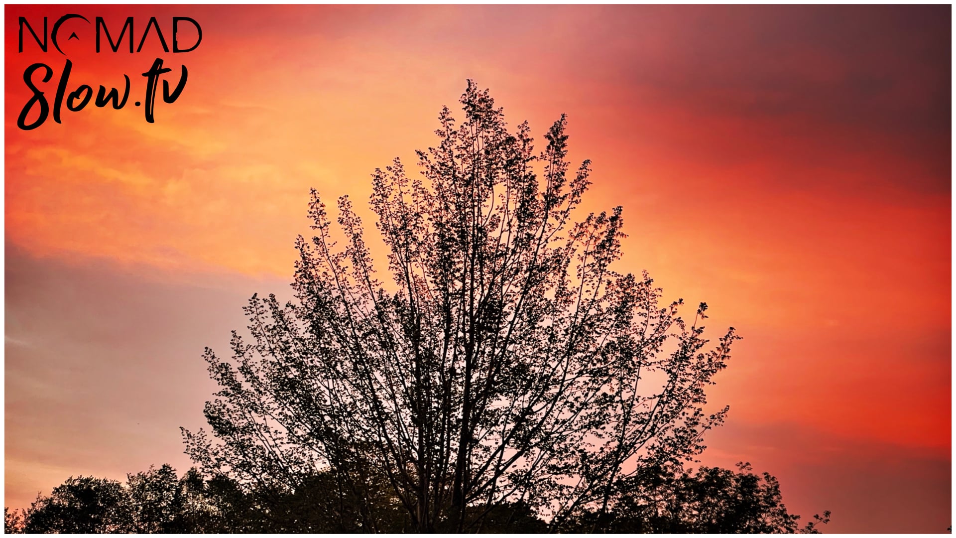 Reflections at Dusk - Open Wings