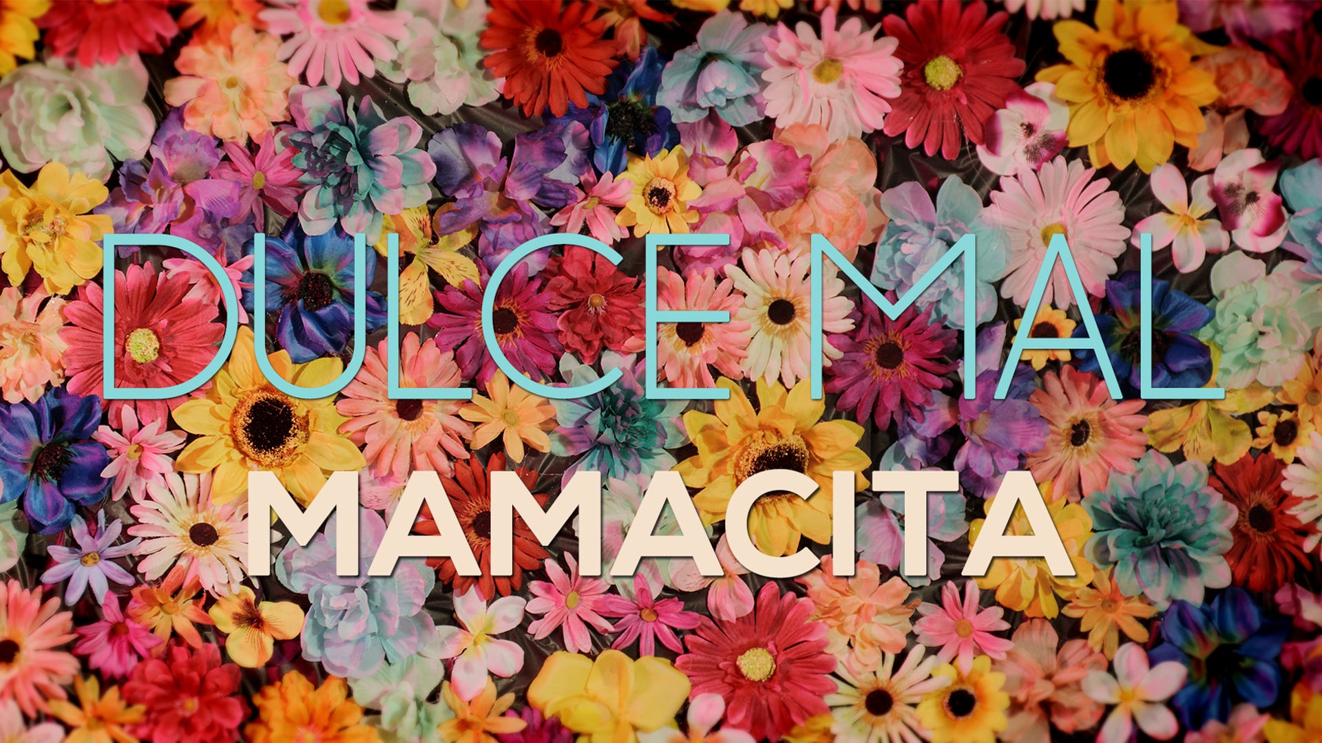 Dulce Mal "Mamacita" Official Music Video