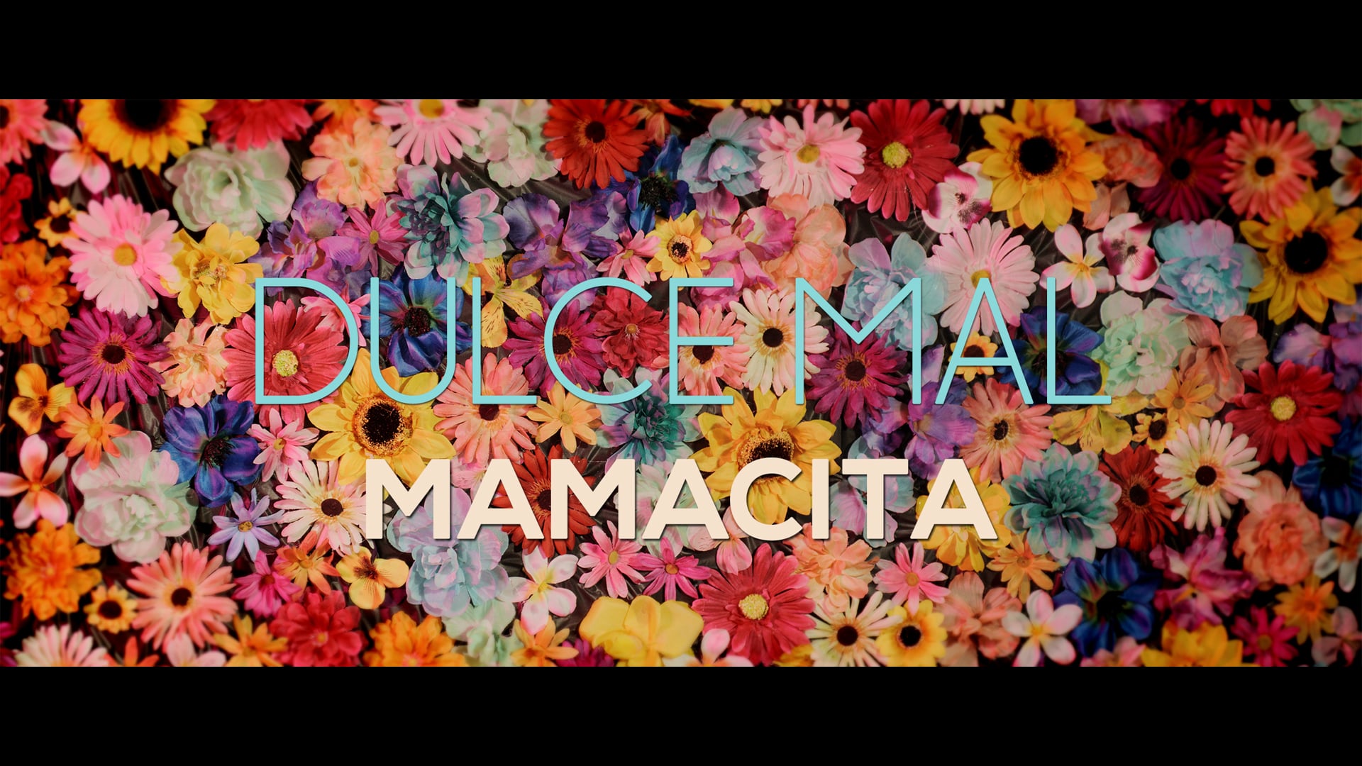 Dulce Mal "Mamacita" Official Music Video