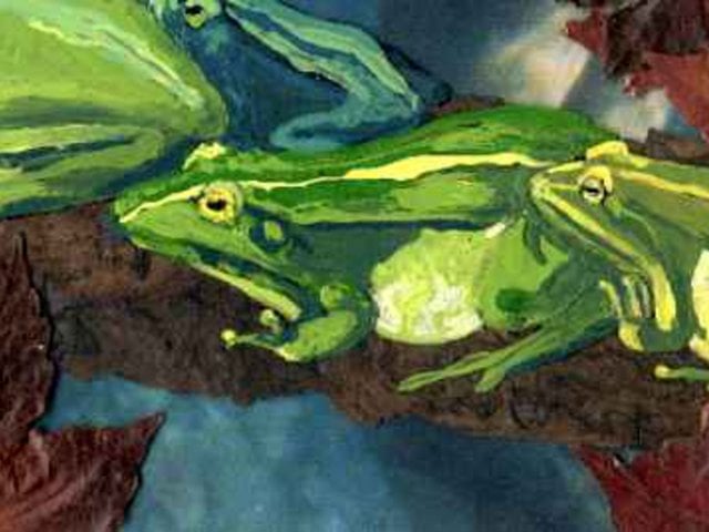 image du film 'Les grenouilles'