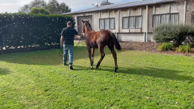 Lot 24