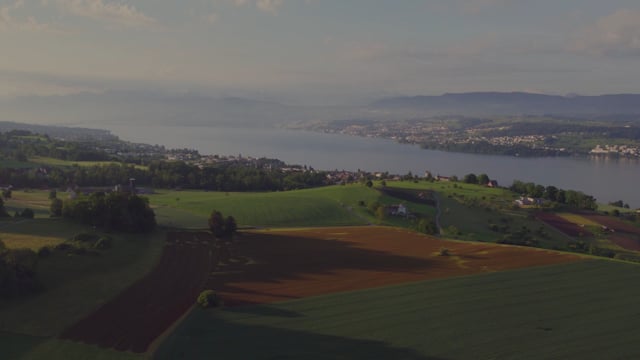 Bont Gartenbau und Gartenpflege AG - Klicken, um das Video zu öffnen