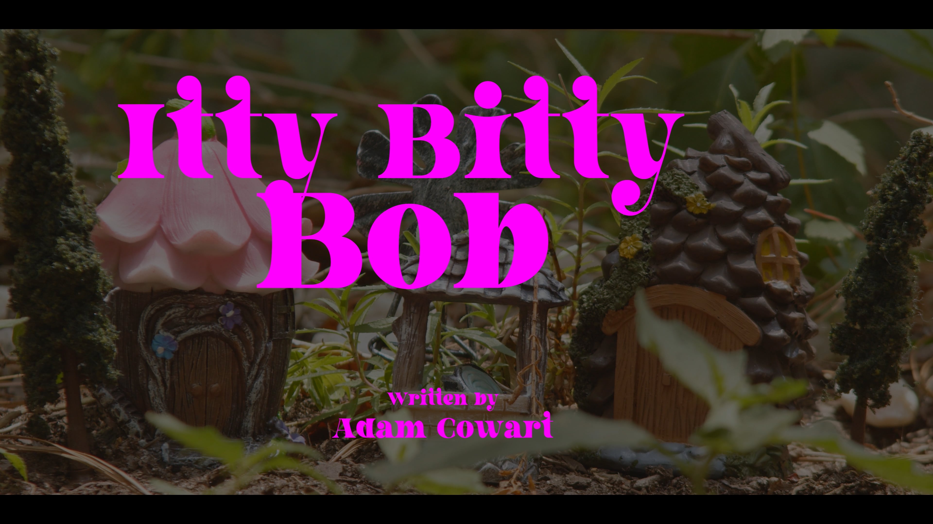 Itty Bitty Bob Brave & Strong on Vimeo