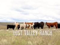 Rancher Stories | Lost Valley Ranch | Lisa Greene