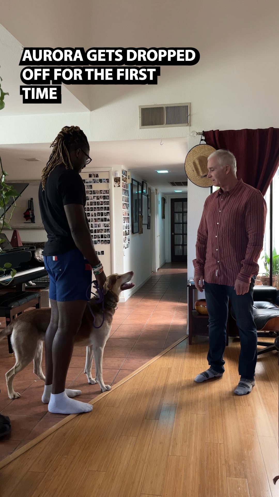 BARRIER AGGRESSION AND RESOURCE GUARDING.mp4 on Vimeo