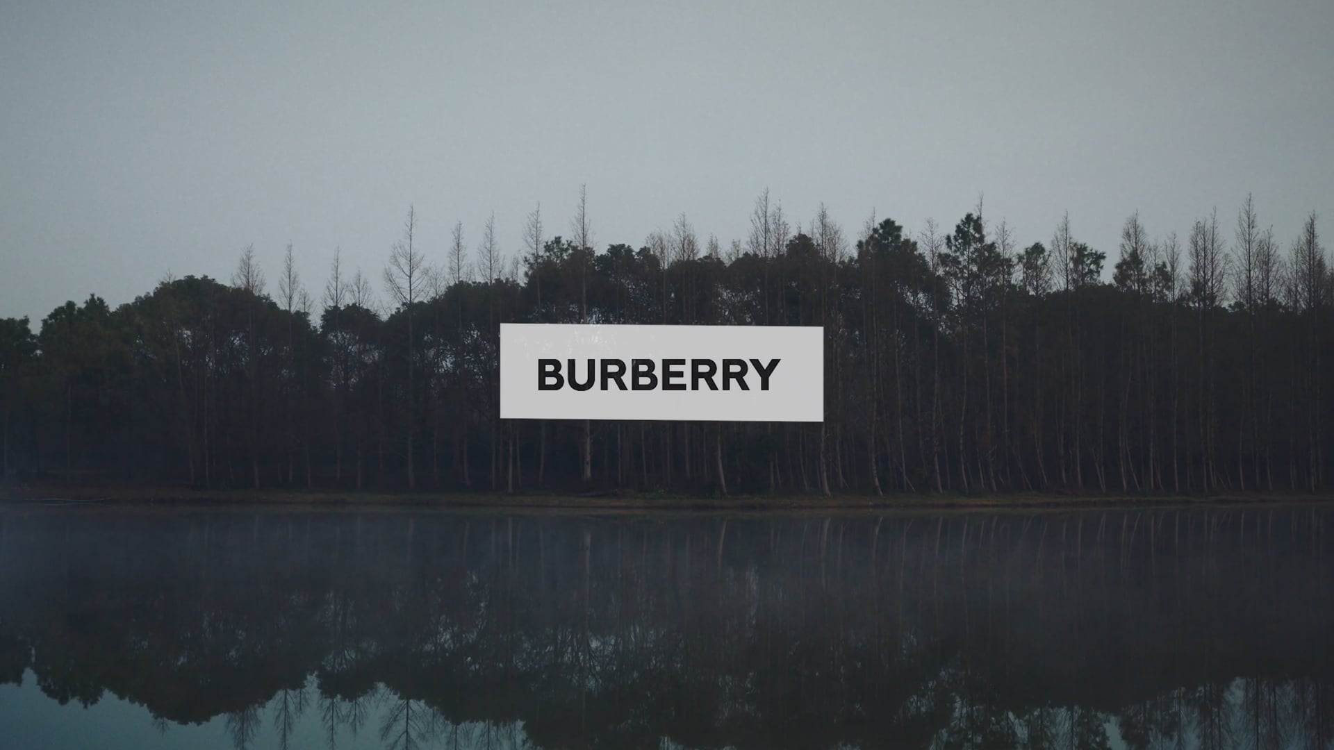 Burberry - Ways of Seeing - Li Meng