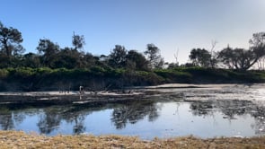 Male nudism on Vimeo