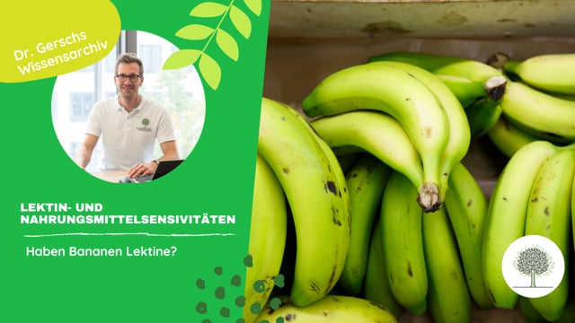 Haben Bananen Lektine? 