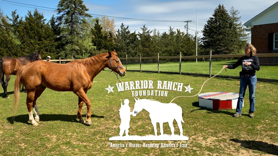 USA Warrior Stories