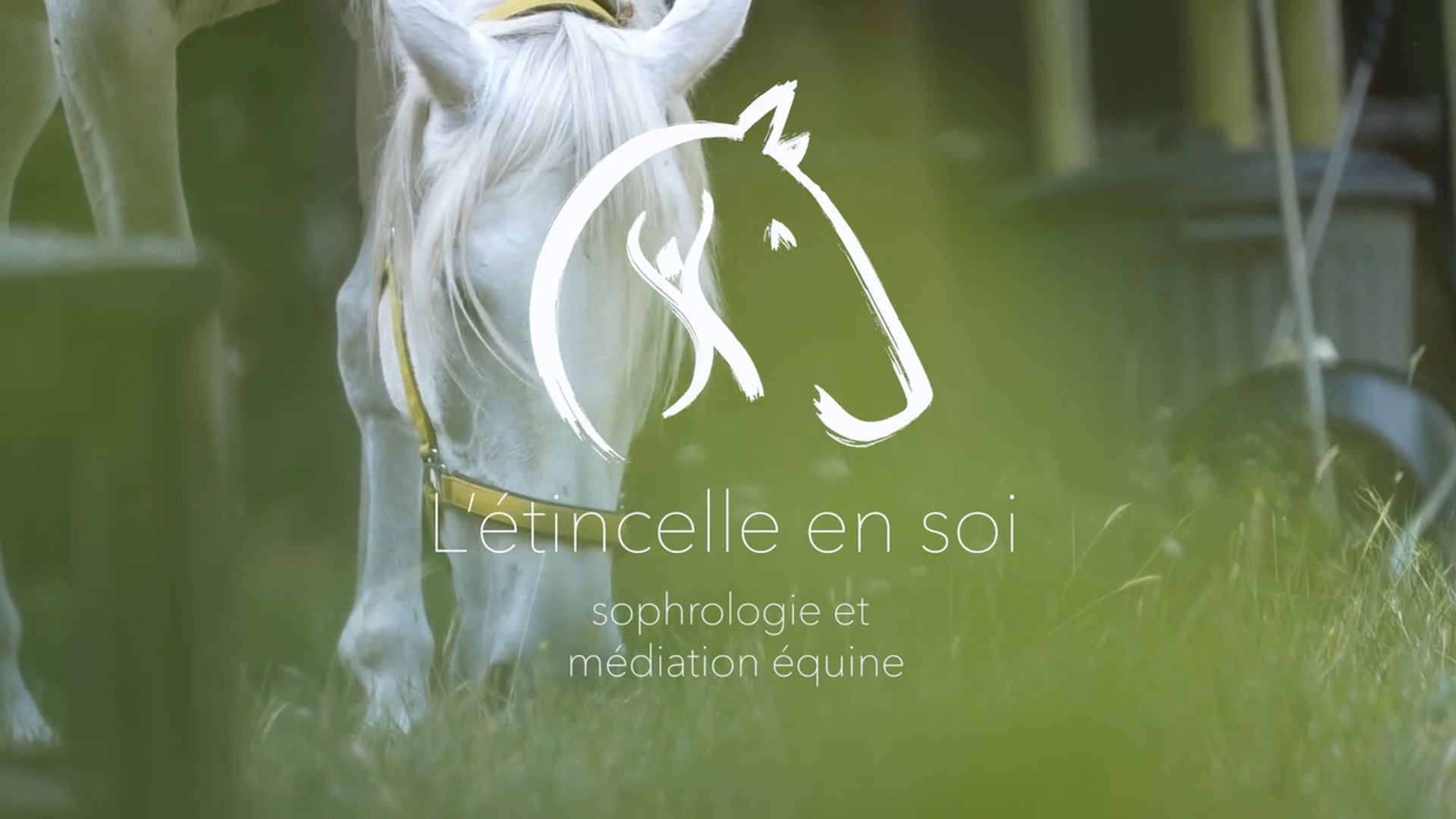 L'étincelle en Soi - Jacqueline Gesdon-Bardinet