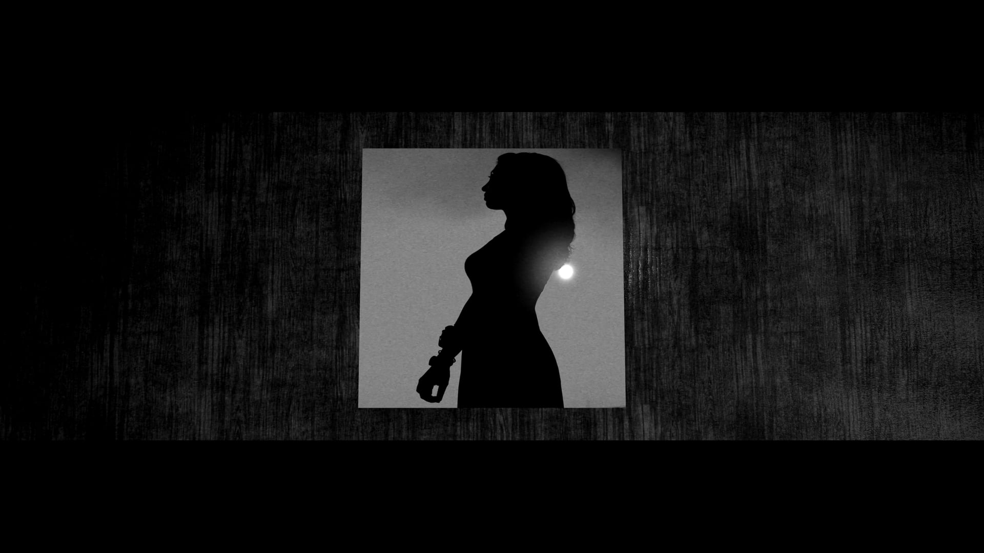 Sleuth - 2022 Biomedical Engineering Medalist, Sheldon Weinbaum