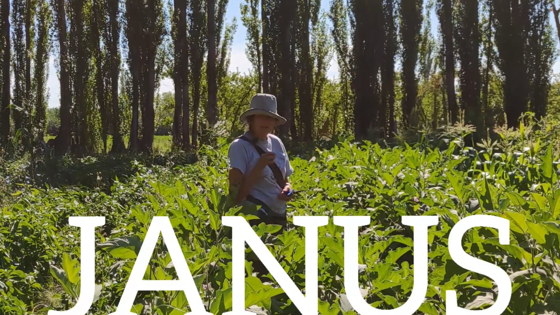 Janus (Trailer)