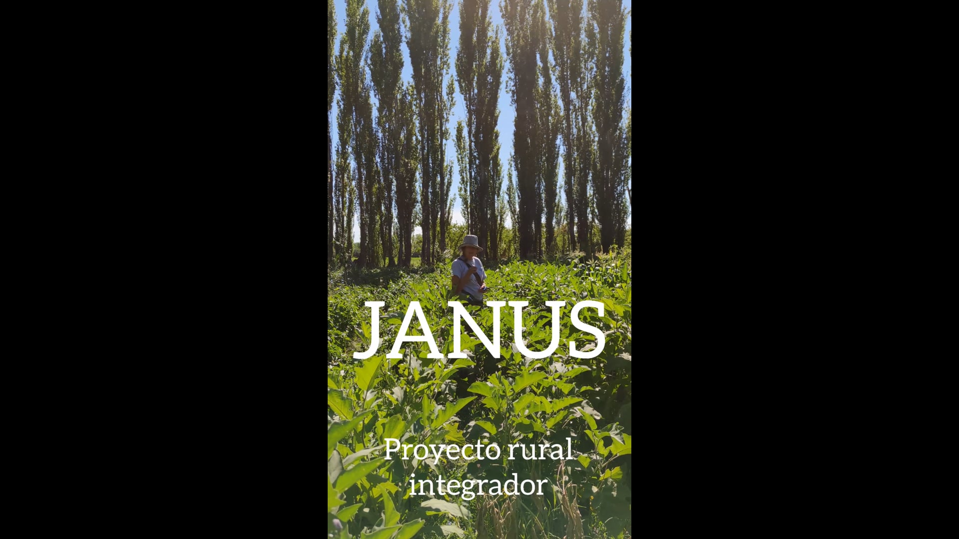 Janus (Trailer)
