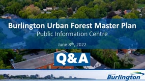 June 8 Q & A
