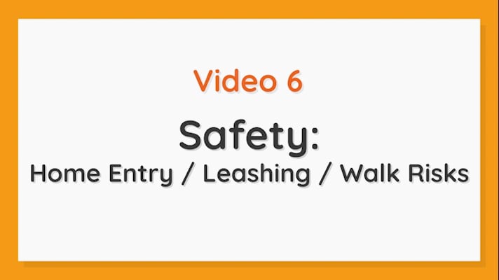 Section 6 on Vimeo