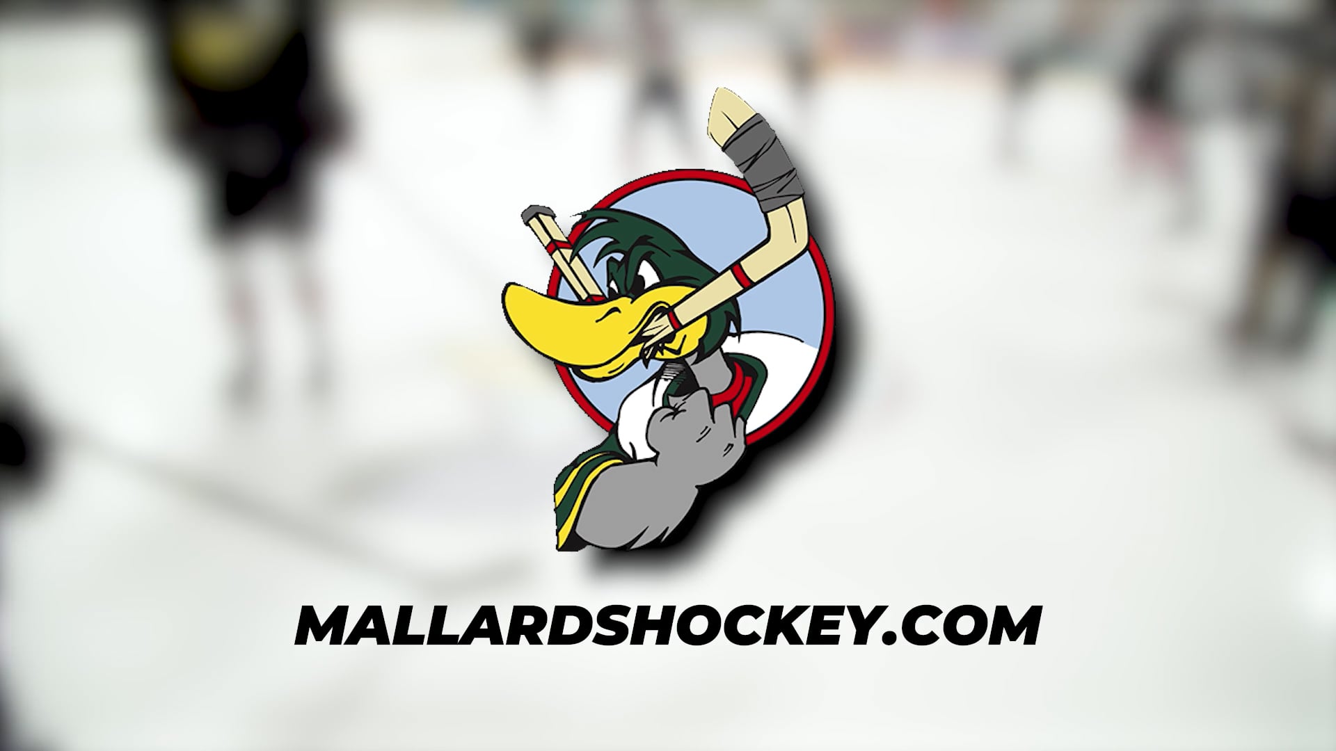 Mallards Hockey
