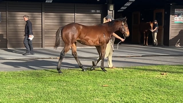 Lot 73