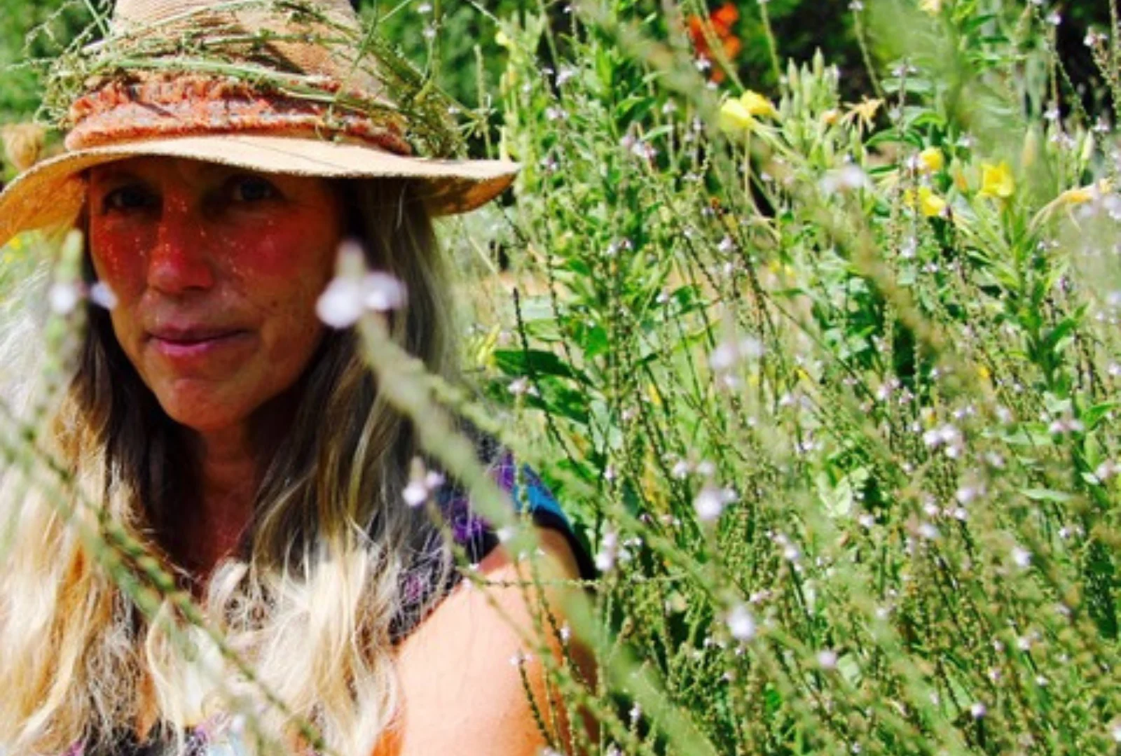 Nature&#039;s Holy Open Secret with Maureen Robertson