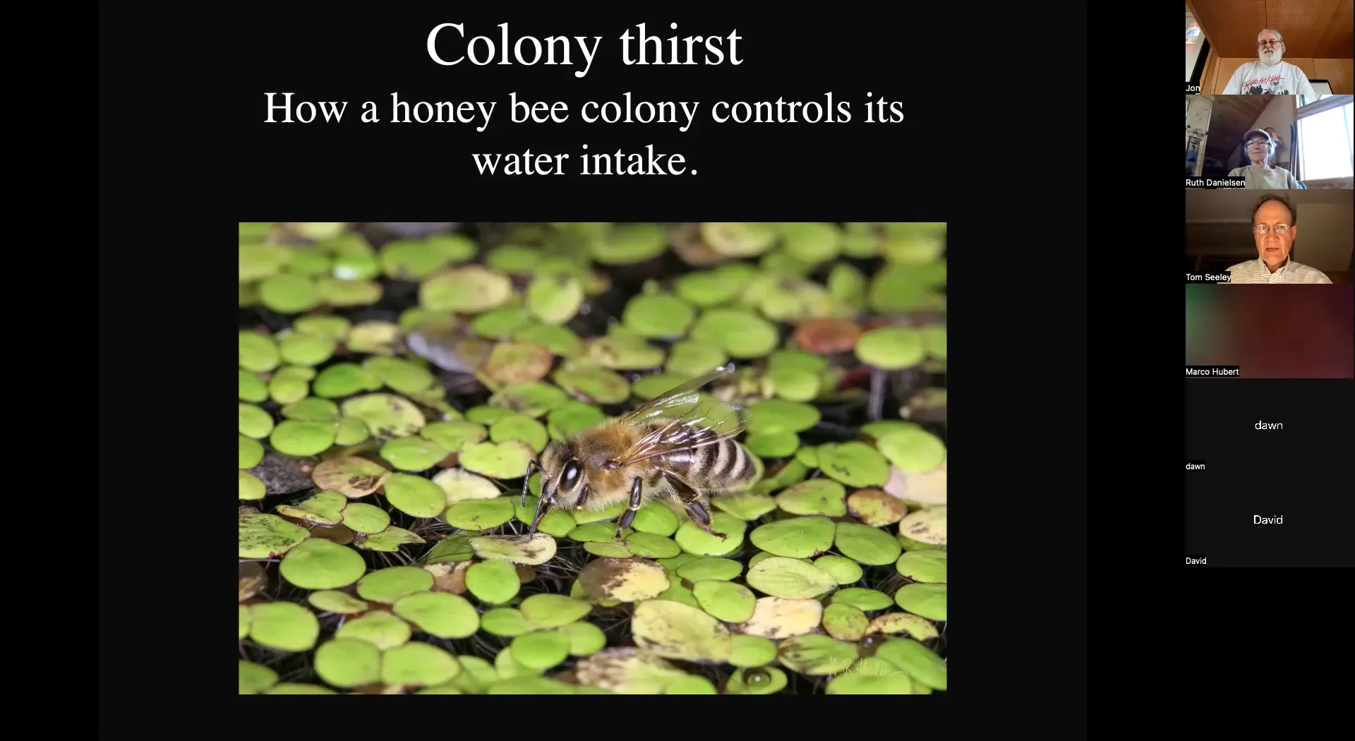 Tom Seeley - Water on Vimeo