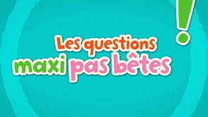 LES QUESTIONS MAXI PAS BÊTES