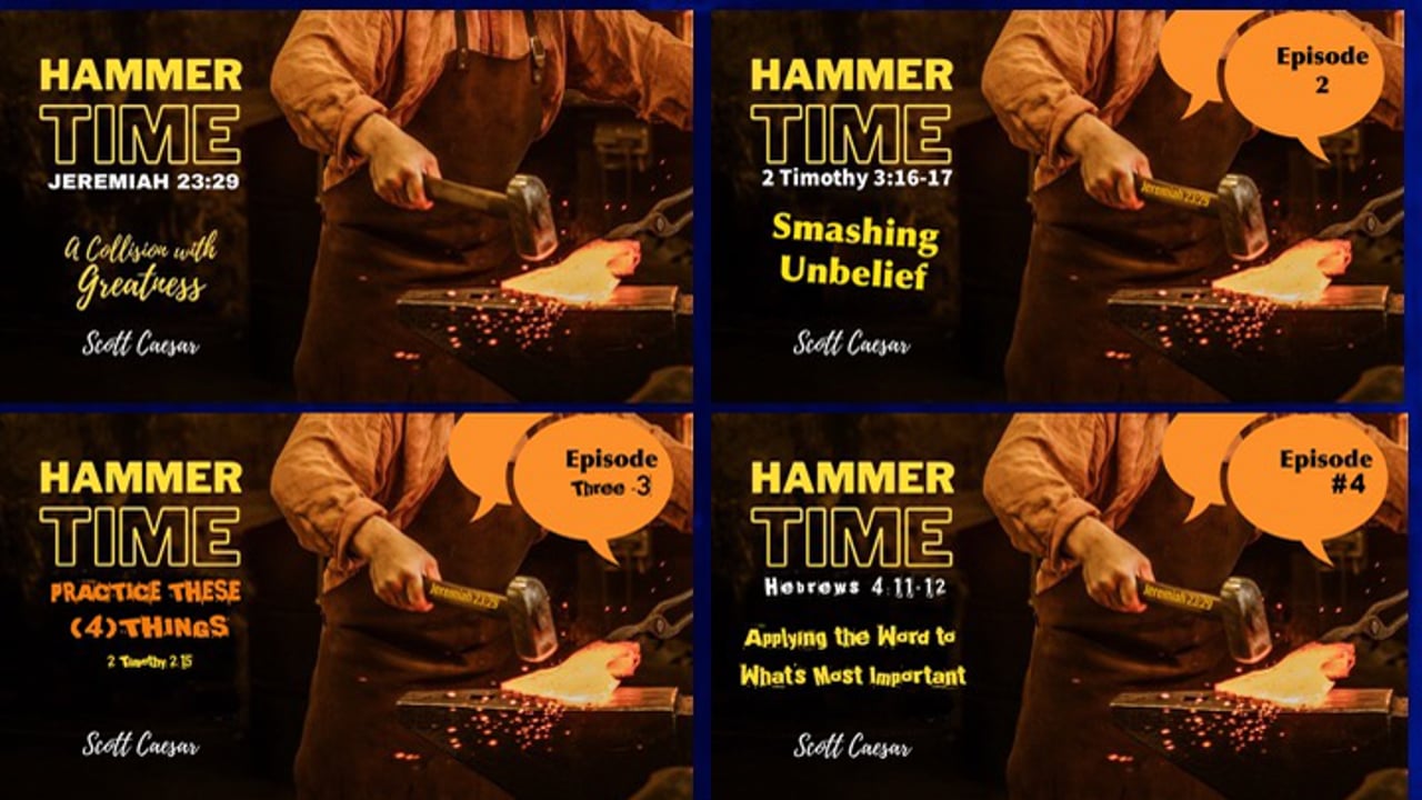 Hammer Time Panel.. 5 Views on the Hammer Time Series